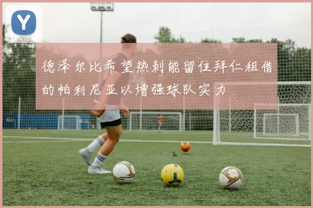 德泽尔比希望热刺能留住拜仁租借的帕利尼亚以增强球队实力